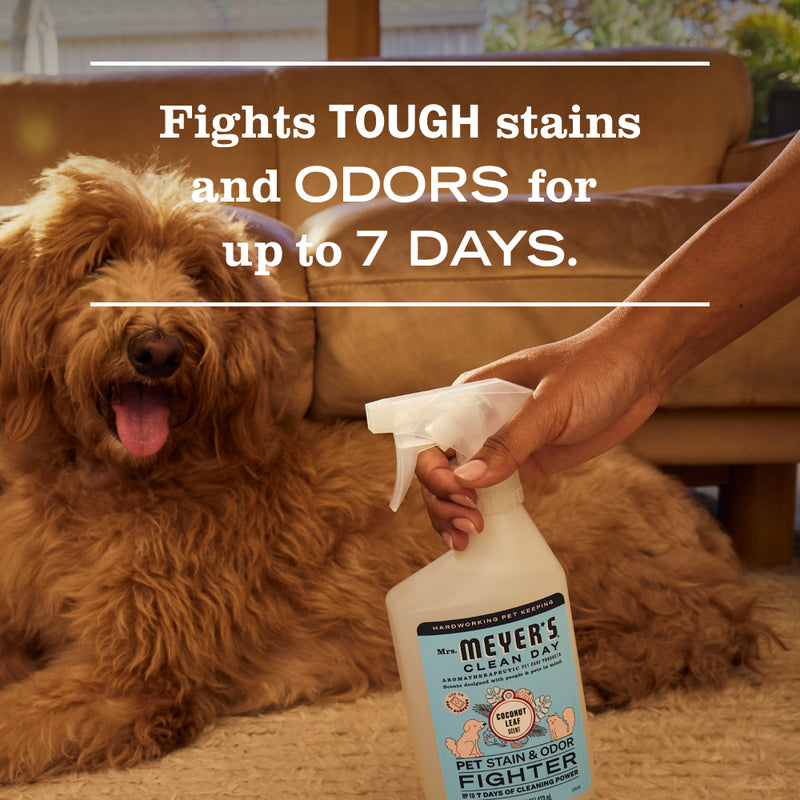 Coconut Leaf Pet Stain &amp; Odor Fighter