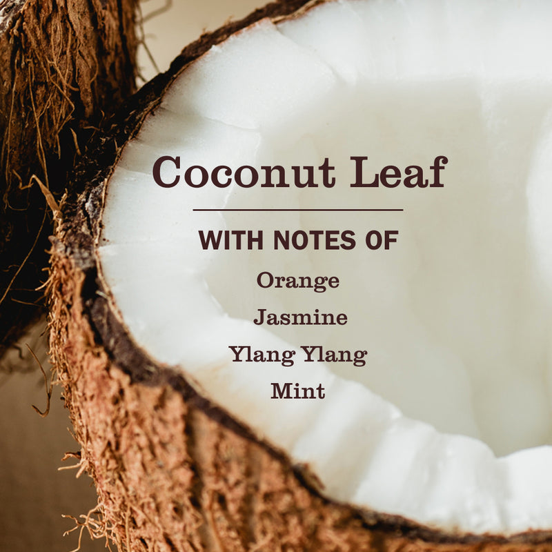 Coconut Leaf Pet Odor Neutralizer
