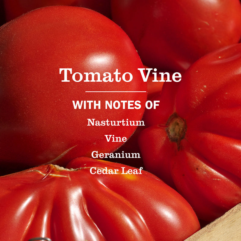 Mrs. Meyer's Tomato Vine Multi-Surface Everyday Cleaner