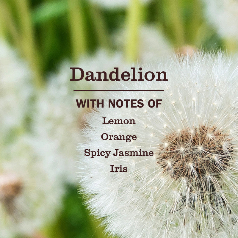 Mrs. Meyer's Dandelion Multi-Surface Everyday Cleaner