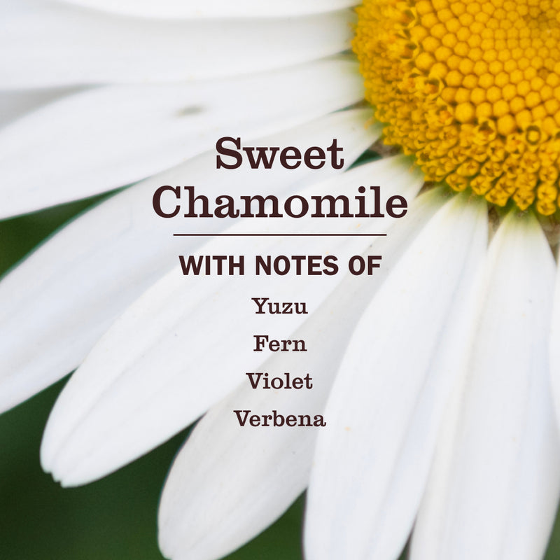 Sweet Chamomile Dog Deodorizing Spritz