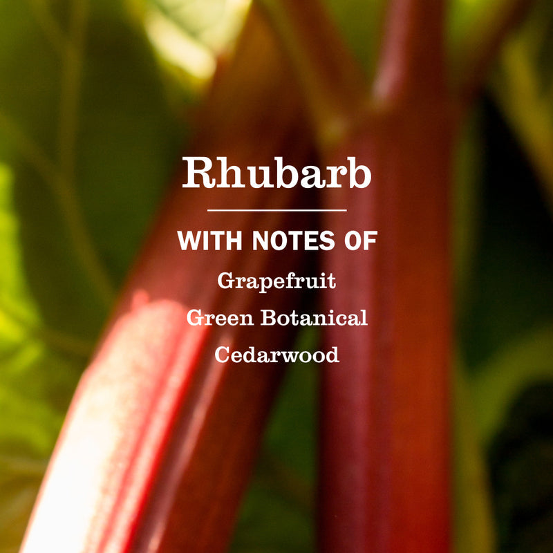 Mrs. Meyer's Rhubarb Liquid Hand Soap