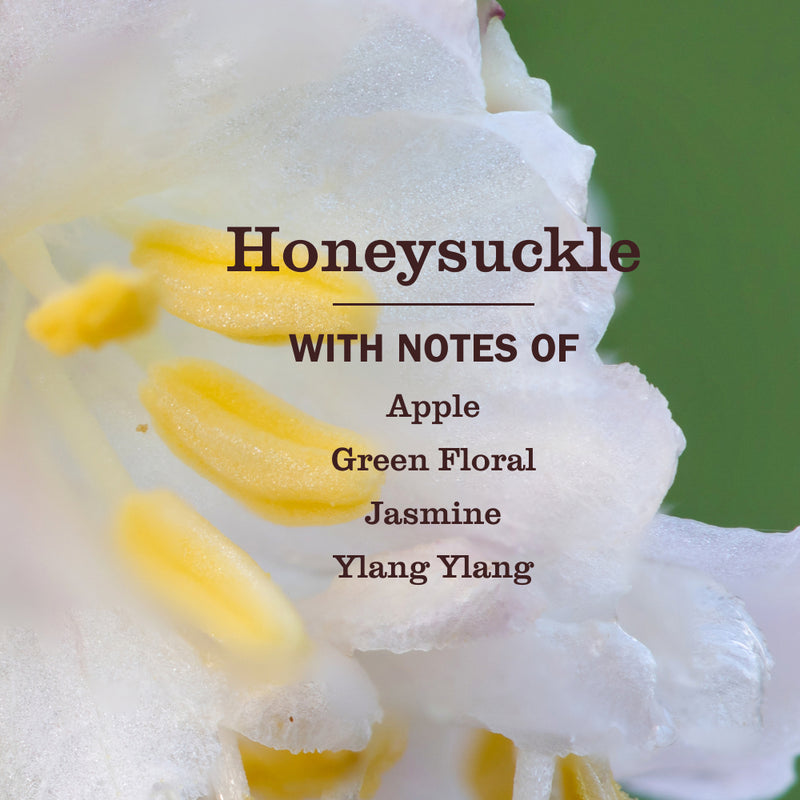 Mrs. Meyer's Honeysuckle Dryer Sheets