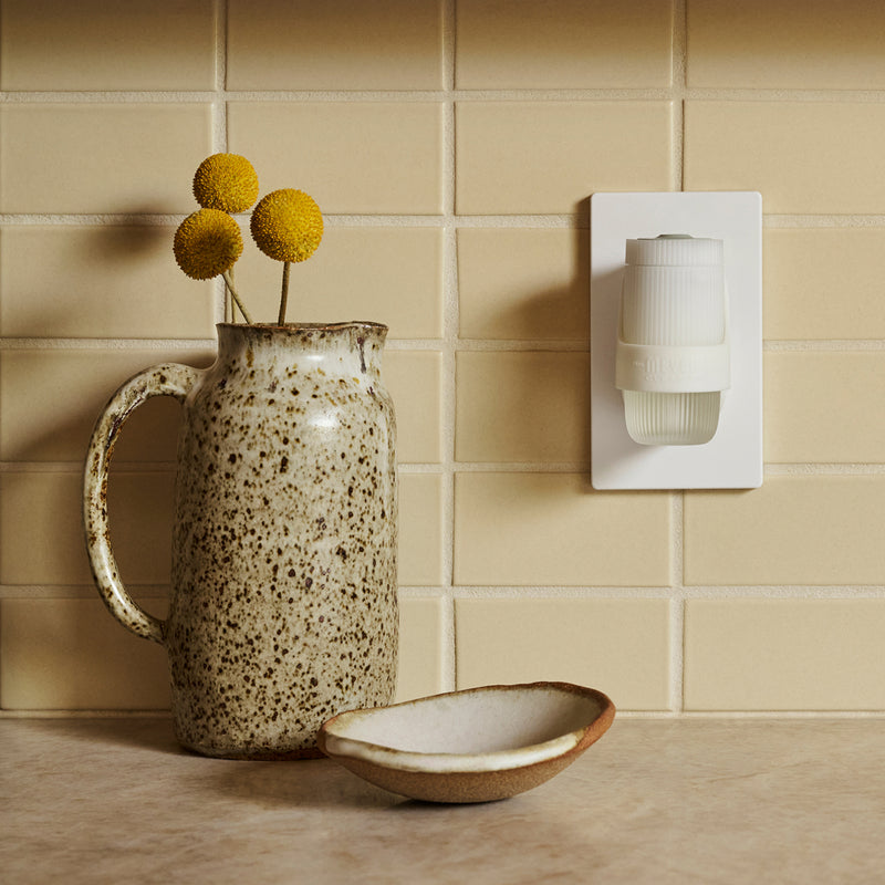 Sugar Pumpkin Plug In Scented Oil Warmer With Refill
