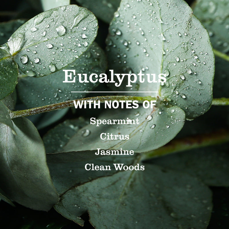 Mrs. Meyer's Eucalyptus Liquid Hand Soap