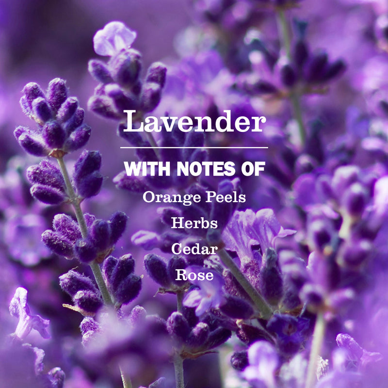 Mrs. Meyer's Lavender Probiotic Daily Shower Spray