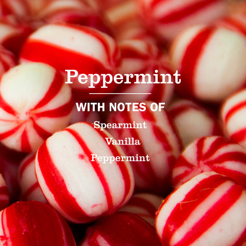 Mrs. Meyer's Peppermint Dish Soap
