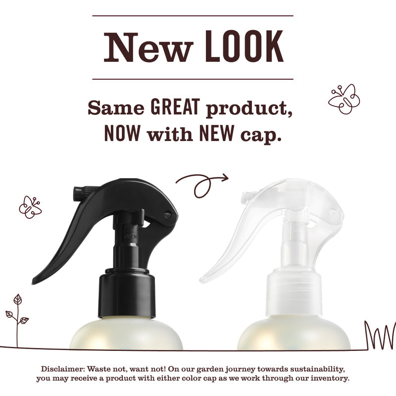 Mrs. Meyer's Basil Room Freshener