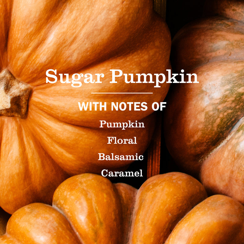 Sugar Pumpkin Plug In Scented Oil Refill 2-Pack
