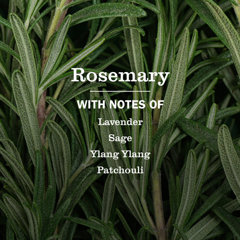 Mrs. Meyer's Rosemary Liquid Hand Soap