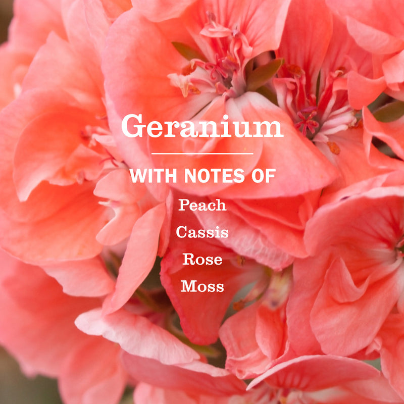 Mrs. Meyer's Geranium Liquid Hand Soap