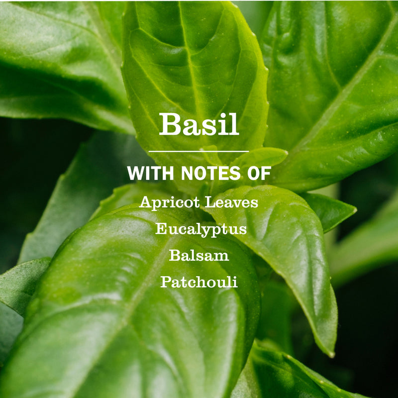 Mrs. Meyer's Basil Hand Lotion
