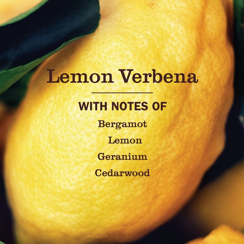 Mrs. Meyer's Lemon Verbena Probiotic Drain Maintenance