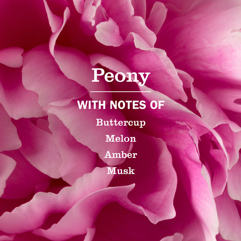 Mrs. Meyer's Peony Soy Candle Large