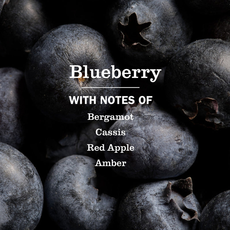 Blueberry Room Freshener