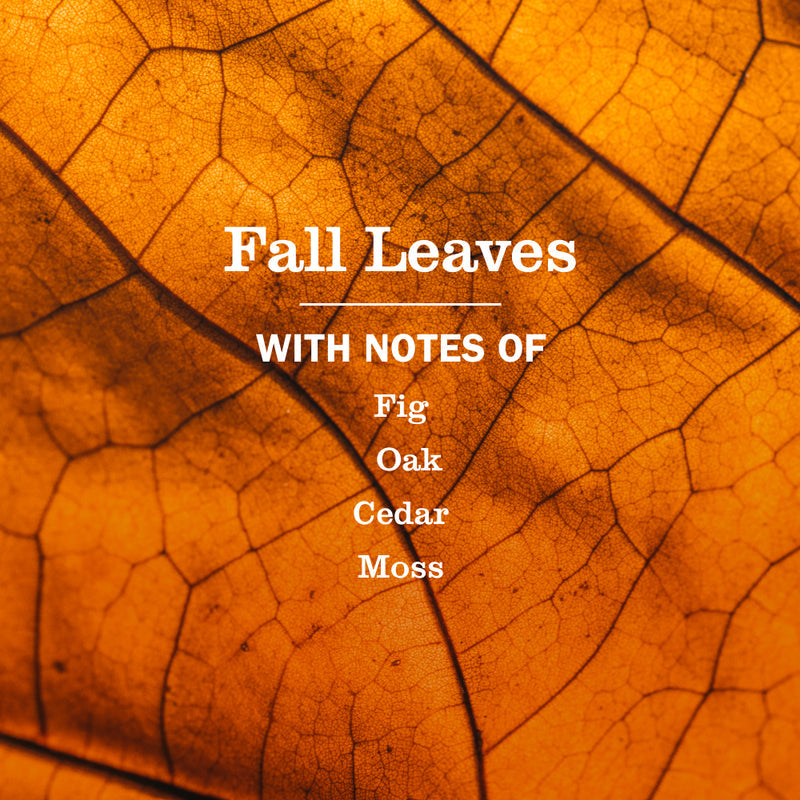 Fall Leaves Plug In Scented Oil Refill 2-Pack