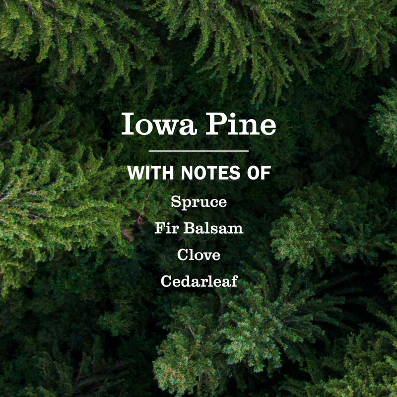 Iowa Pine Plug In Scented Oil Warmer With Refill