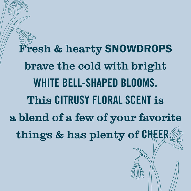 Snowdrop Plug In Scented Oil Warmer With Refill