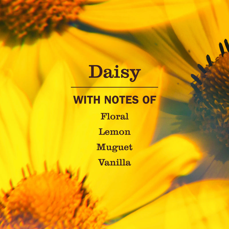 Mrs. Meyer's Daisy Liquid Hand Soap 3-count Bundle 