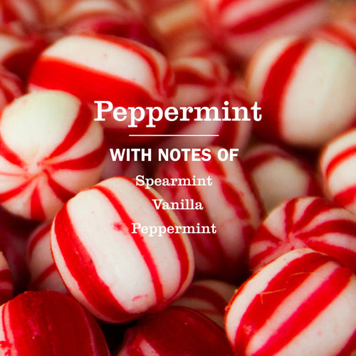 Mrs. Meyer's Peppermint Kitchen Basics Set